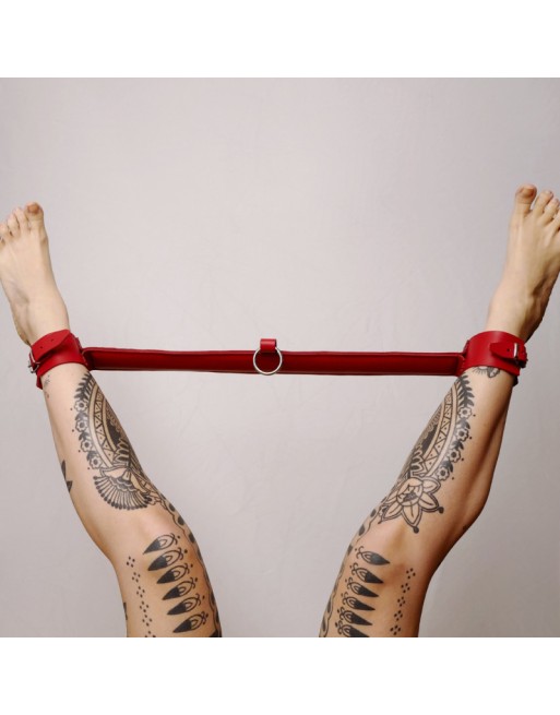 Barre de contrainte cuir et anneau Rouge Barre de contrainte cuir et anneau Rouge