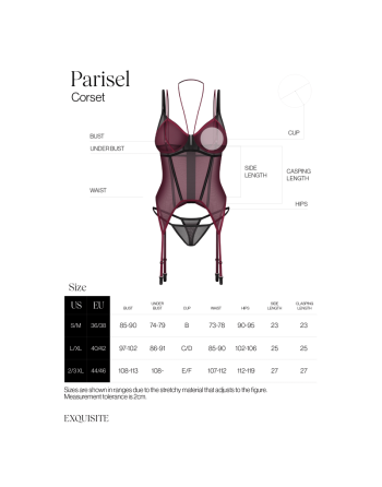 Parisel corset
